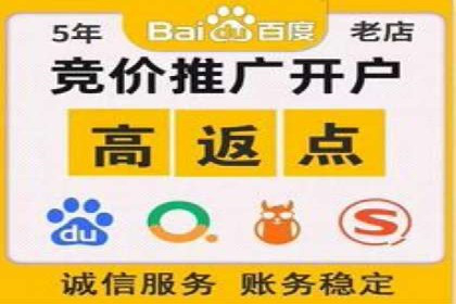 竞价SEM案例分享：行业霸主崛起之路